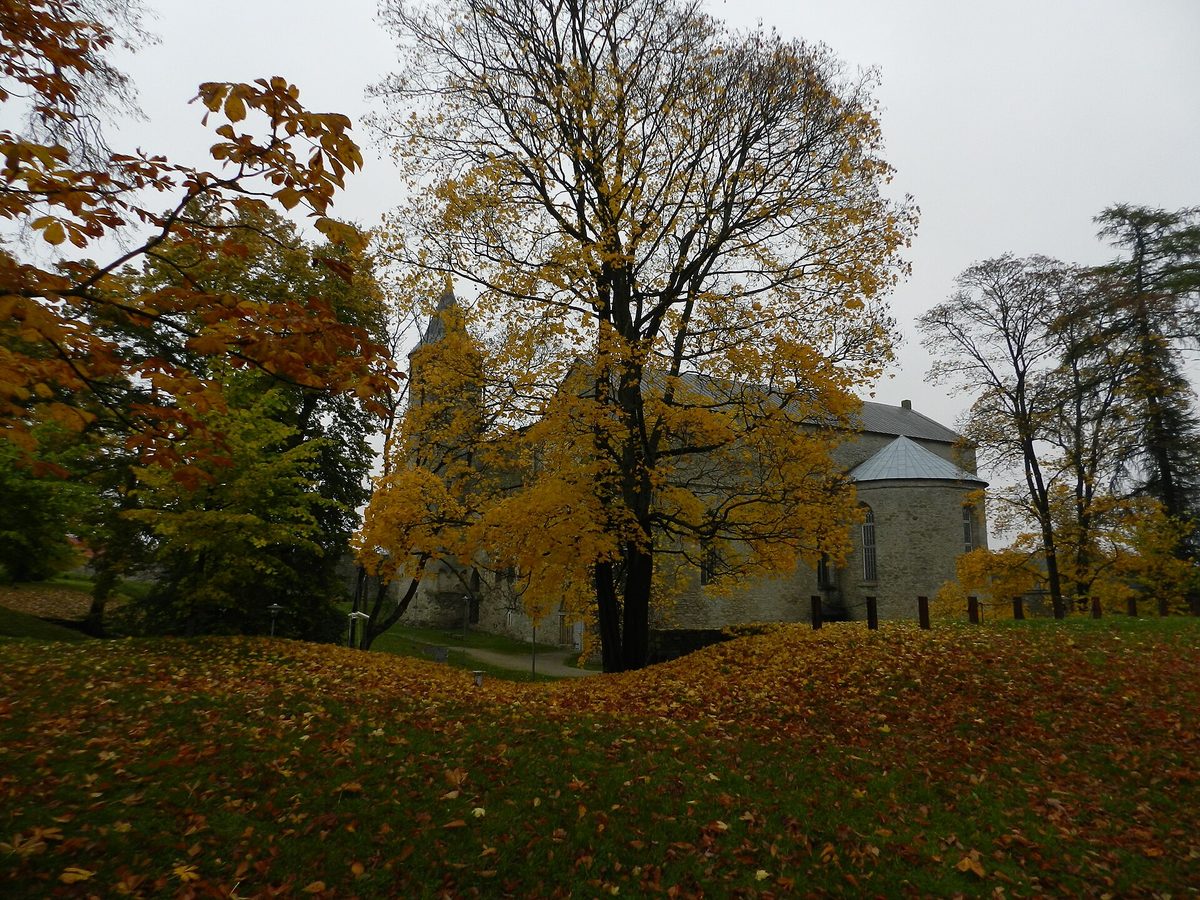 Haapsalu