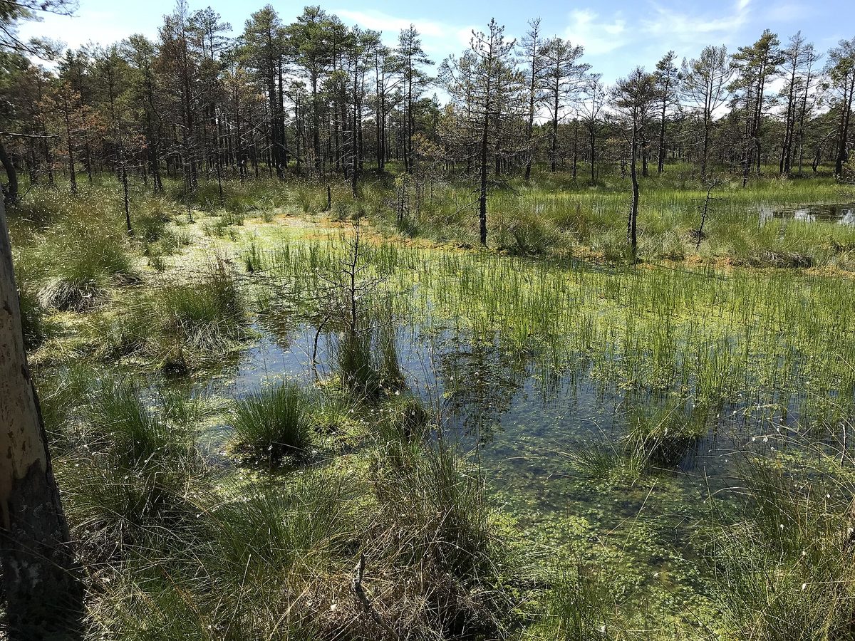 Lahemaa National Park